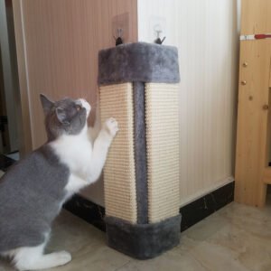 55812720754.jpg Foldable Environmentally Friendly Pet Toy Cat Scratcher