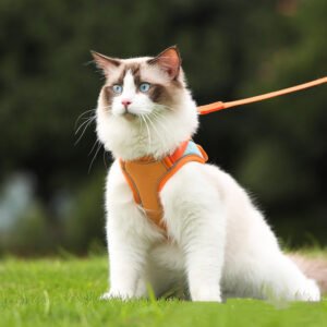 e6290b16-ff40-479d-ac98-c11544ecd517.jpg Anti Escape Reflective Cat Harness Leash